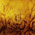 Fen - Malediction Fields - Vinyl Record