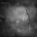 Burntfield - Impermanence - Music CD