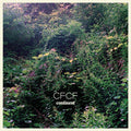 Cfcf - Continent - Vinyl Record