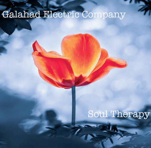 Galahad Electric Company - Soul Therapy - Music CD