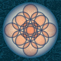 Embryo - Auf Auf - Music CD