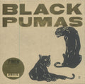 Black Pumas - Black Pumas - Vinyl Record