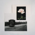 No Rome - It's All Smiles - Music CD