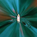 Silent Planet - Iridescent - Music CD