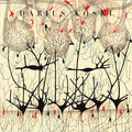 Koski,darius - Off With Their Heads - Vinyl Record