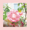 The Reds, Pinks and Purples - Summer At Land's End [Indie Exclusive Limited Edition Yellow 2LP]