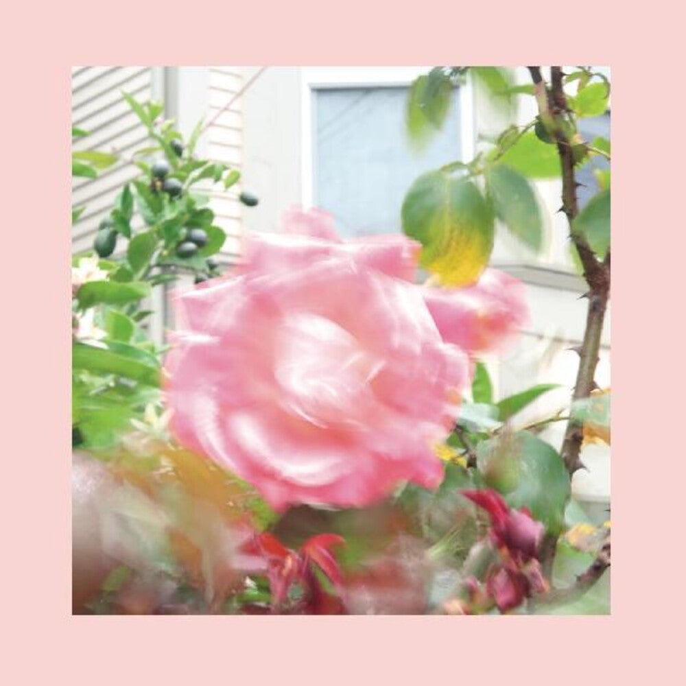 The Reds, Pinks and Purples - Summer At Land's End [Indie Exclusive Limited Edition Yellow 2LP]