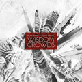 Soord,bruce / Renkse,jonas - Wisdom Of Crowds - Vinyl Record