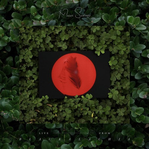 Sumney,moses - Live From Blackalachia (clear Green) - Vinyl Record