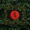 Sumney,moses - Live From Blackalachia - Vinyl Record
