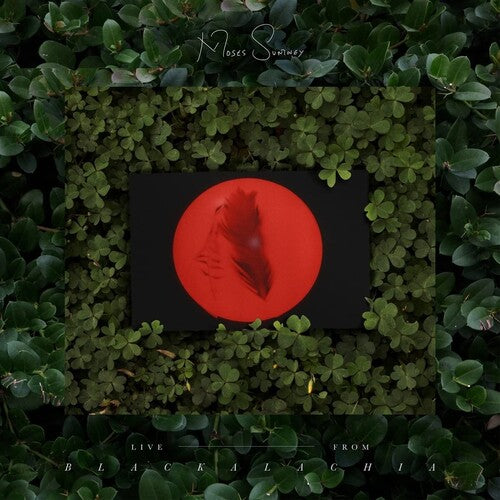 Sumney,moses - Live From Blackalachia - Vinyl Record
