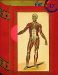 Pollard,robert - Eat 17 - Books
