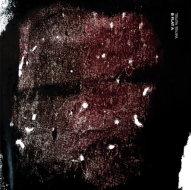 Trupa Trupa - B Flat A - LP Vinyl