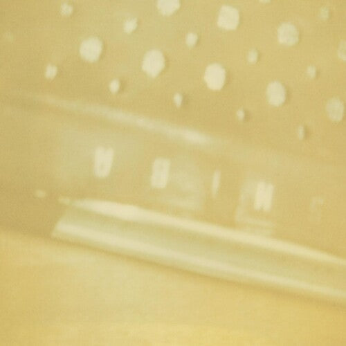 Roden,steve - Radio Airria (hanging Garden) / Vein Stem Is Calm - Music CD