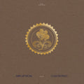 Lattimore,mary - Collected Pieces: 2015-2020 (gold Ripple) - Vinyl Record