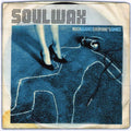 Soulwax - Much Against Everyone's Advice [Import]