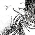 Negura Bunget - Virstele Pamintului - Vinyl Record