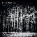 Bernt Moen Trio - Storm - Music CD