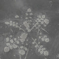 Sabla - Music For Melted Floors - Vinyl Record