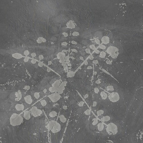 Sabla - Music For Melted Floors - Vinyl Record