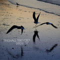 Tingvall Trio - Birds - LP Vinyl