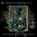 Fiorelli / Kinga Ujszaszi / Foster - Cabinet Of Wonders 2 - Music CD