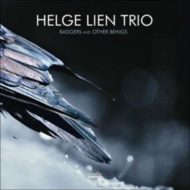 Helge Lien Trio - Badgers Andother Beings - LP Vinyl