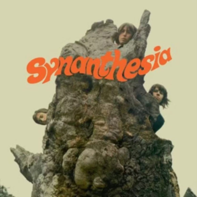 Synanthesia - Synanthesia - LP Vinyl