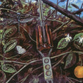 Dragonfly - Dragonfly - LP Vinyl