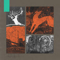 Dreamtigers - Ellapsis - Music CD