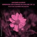 Scottish Chamber Orchestra - Antonin Dvorak: Serenade For Strings In E Major Op - Music CD