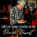Stewart,david - Still Got Some Cowboy In Me - Music CD