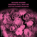 Scottish Chamber Orchestra - Siegfried Idyll Wwv 103 - Music CD