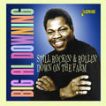 Downing,big Al - Still Rockin & Rollin Down On The Farm - Music CD