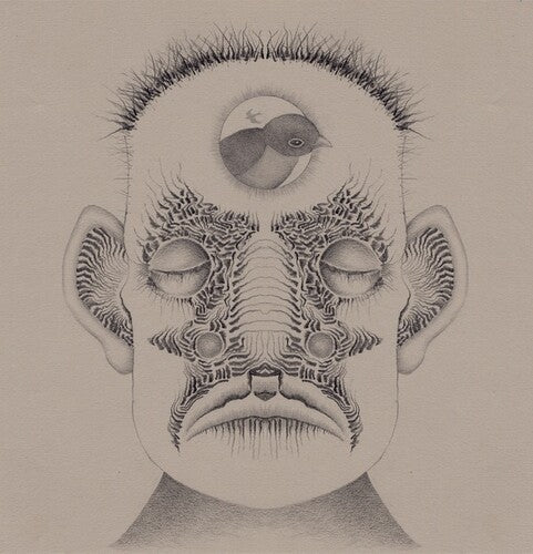 Thummler,brian - Ghost Birds - Vinyl Record