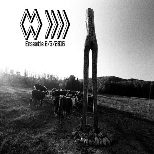 Band Whose Name Is A Symbol - Ensemble 8 3 2016 - Vinyl Record
