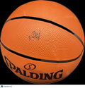 Will Riley Signed Basketball PSA Illinois Fighting Illini