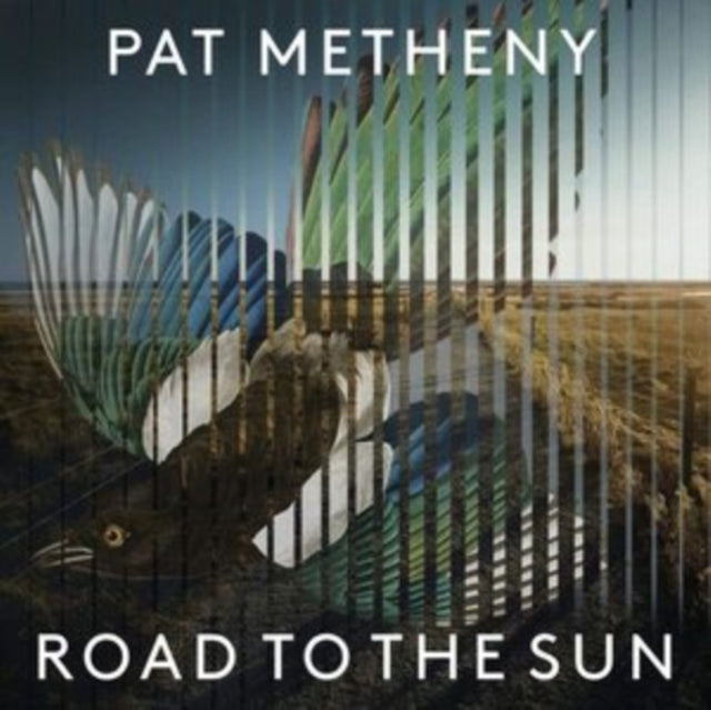 Pat Metheny - Road To The Sun (2LP) & Side-Eye Nyc (V1.Iv) (2LP)