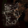 Holding A Wolf By The Ears (Limited Edition)