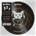 Dreamcatcher: Live At Viejas Casino (Picture Disc)