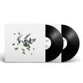 These New Puritans - Field Of Reeds (2LP)