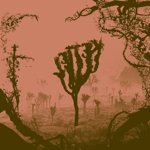 Kettel - My Dogan - Vinyl Record