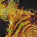 Imminence - Heaven In Hiding (Boxset) - CD