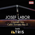 Labor / Wachsenegger / Ensemble Tris - Clarinet Trio / Cello Sonata - Music CD