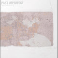 Tindersticks - Past Imperfect The Best Of Tindersticks '92-'21 - Music CD
