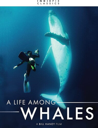 Indiepix Classics: A Life Among Whales - Indiepix Classics: A Life Among Whales - DVD