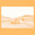 Frenzied Bricks - Frenzied Bricks - Vinyl Record