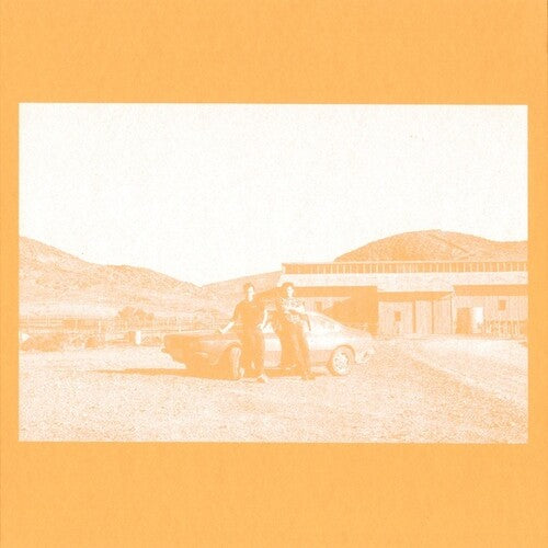 Frenzied Bricks - Frenzied Bricks - Vinyl Record