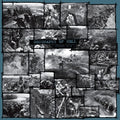 Geography Of Hell - Verdun 1916 - Music CD