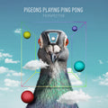 Pigeons Playing Ping Pong - Perspective - Music CD
